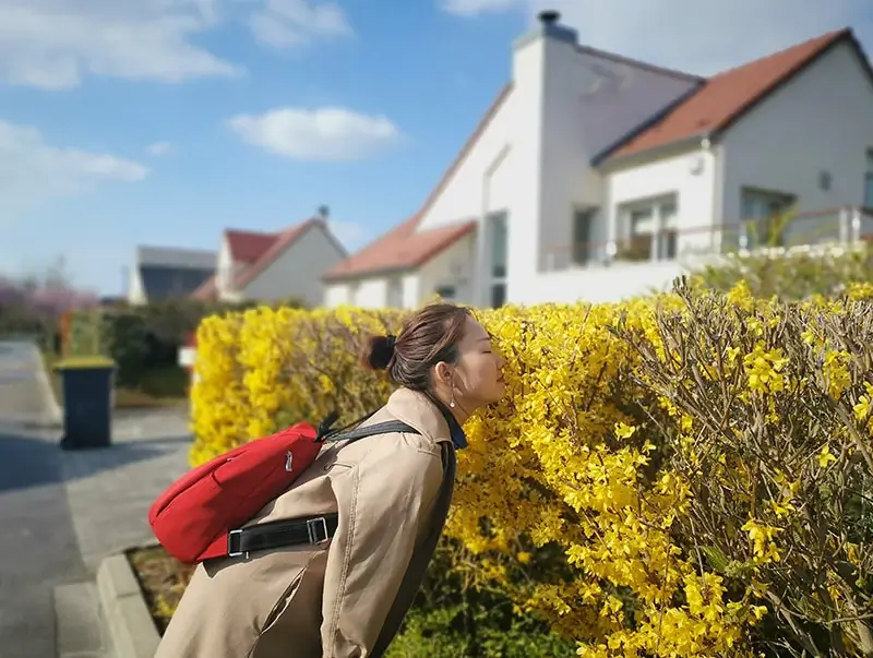 EMAC France Trip 800x603 EMAC France Trip